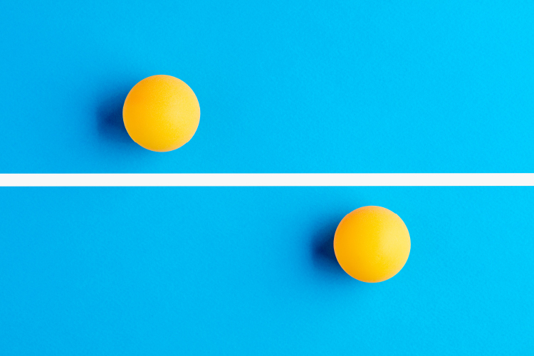Traditional Performance Management: The Basics