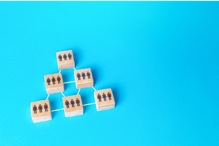 The Role of Performance Management Consulting Services
