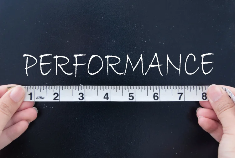 Organizations have various options for measuring their performance
