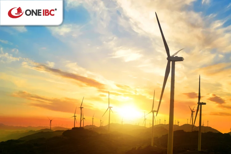 working-towards-net-zero-transition-has-become-a-popular-way-for-companies