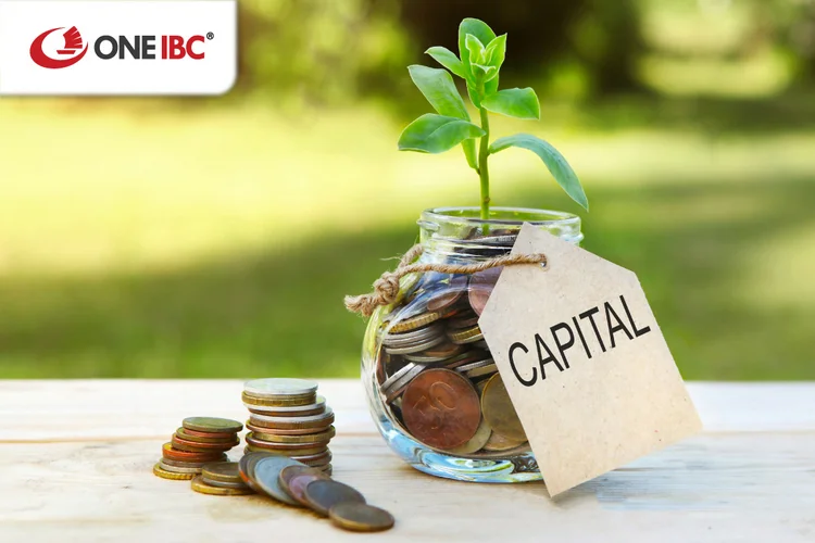 How does interest rate impact the capital allocation decisions?